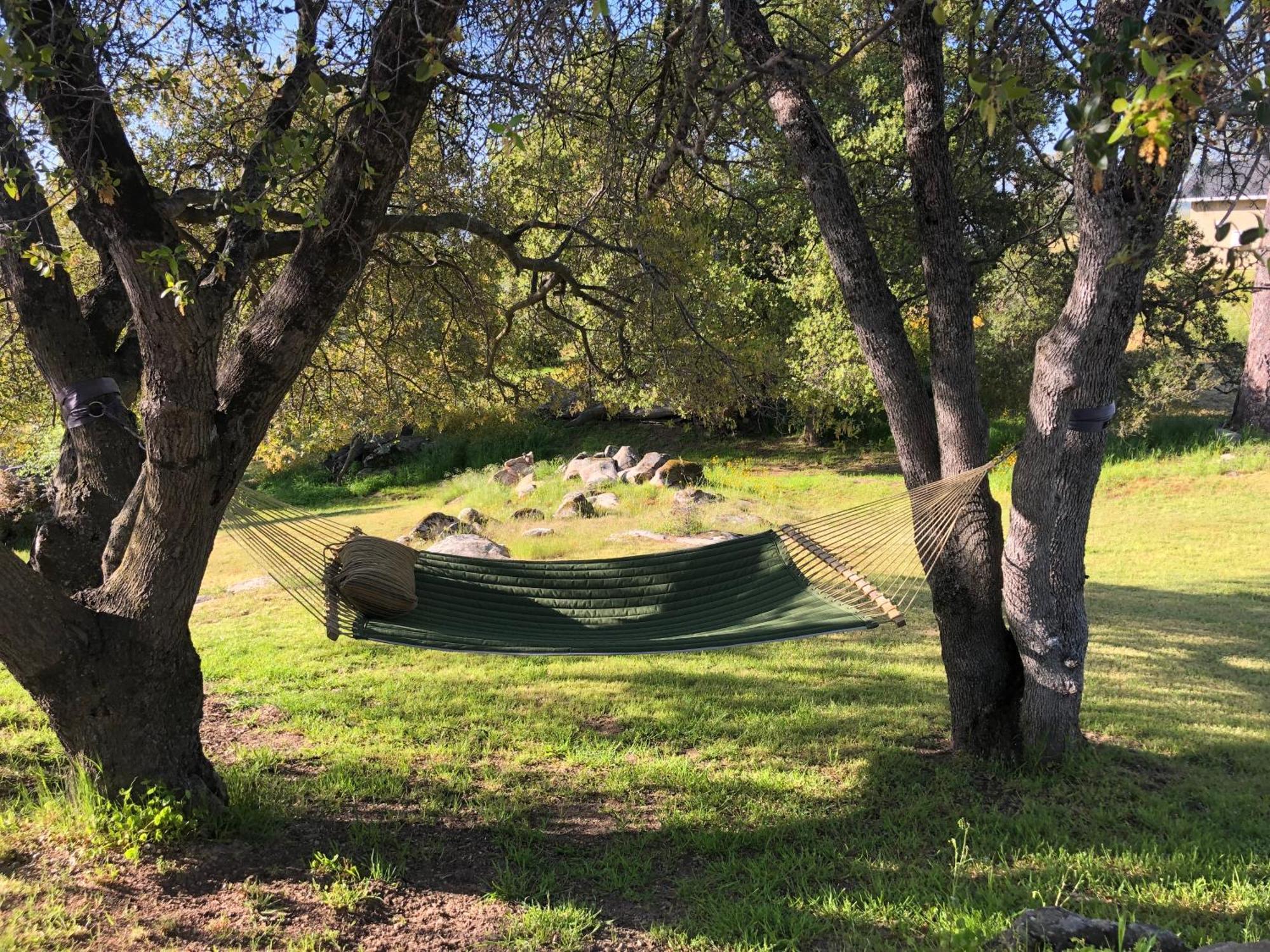 코어스골드 Oak Retreat By Yosemite National Park 아파트 외부 사진