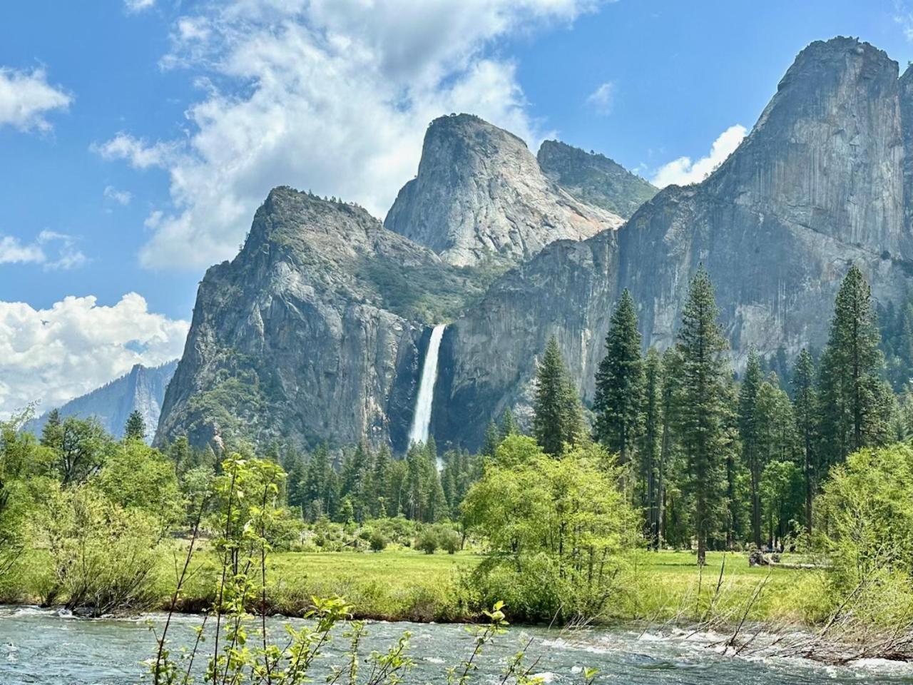 코어스골드 Oak Retreat By Yosemite National Park 아파트 외부 사진