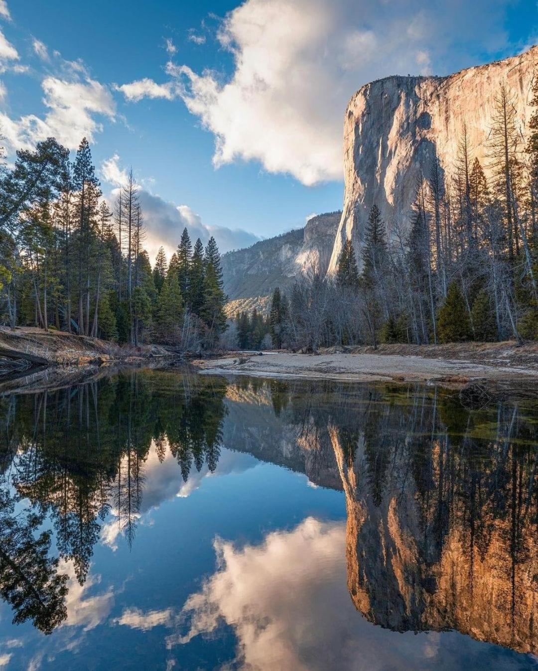 코어스골드 Oak Retreat By Yosemite National Park 아파트 외부 사진