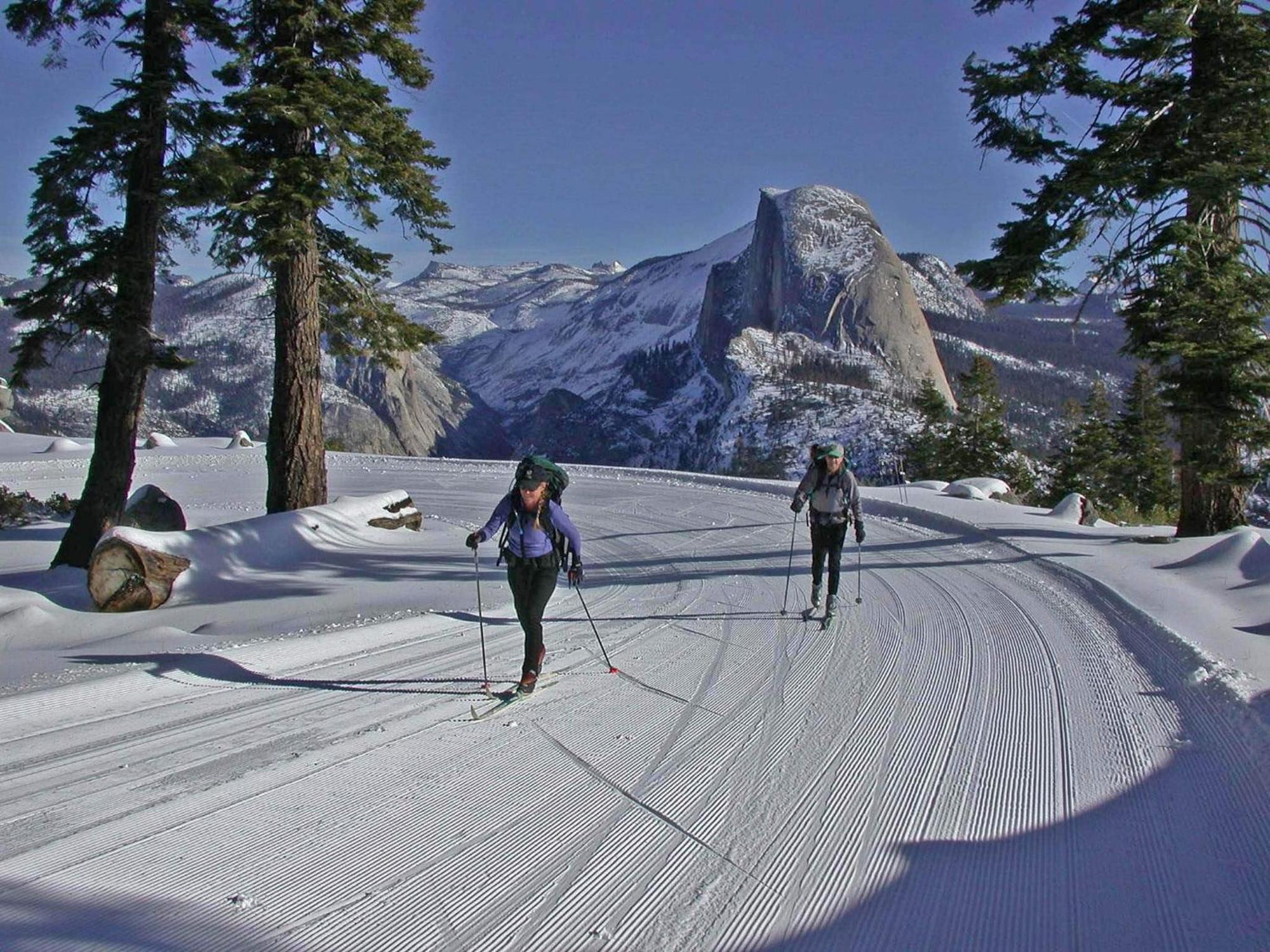 코어스골드 Oak Retreat By Yosemite National Park 아파트 외부 사진
